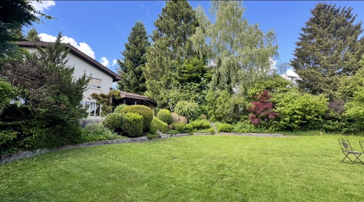 Taille d'arbres et arbustes dans jardin
